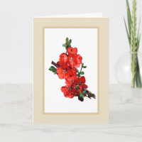 Red Japanese Quince Blossom illustration beige