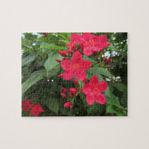 Red Jatropha Flowers Jigsaw Puzzle