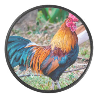 Red junglefowl hockey puck
