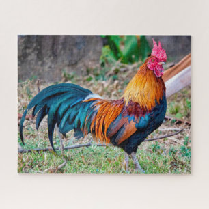 Red junglefowl jigsaw puzzle