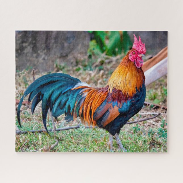 Red junglefowl jigsaw puzzle (Horizontal)