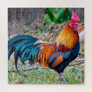 Red junglefowl jigsaw puzzle