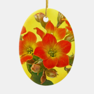 Red Kalanchoe - Succulent Sunshine Ceramic Tree Decoration