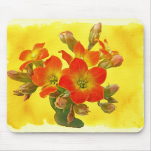 Red Kalanchoe - Succulent Sunshine Mouse Mat