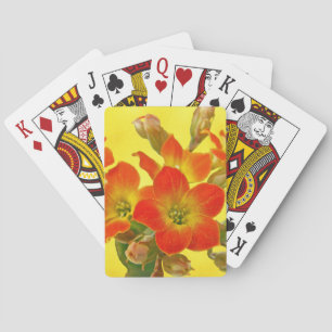 Red Kalanchoe - Succulent Sunshine Playing Cards