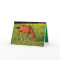 Red Kansas Country Horse Birthday Greeting Card