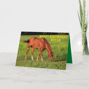 Red Kansas Country Horse Birthday Greeting Card
