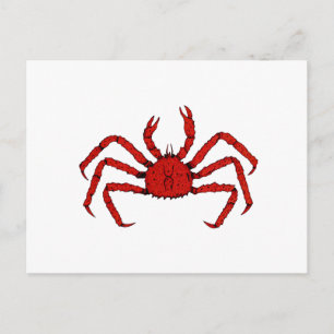 Red King Crab (colour illustration) Postcard