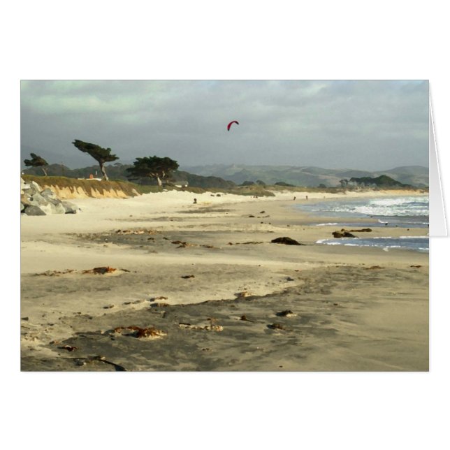 Red Kite (Front Horizontal)