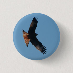 Red Kite Badge