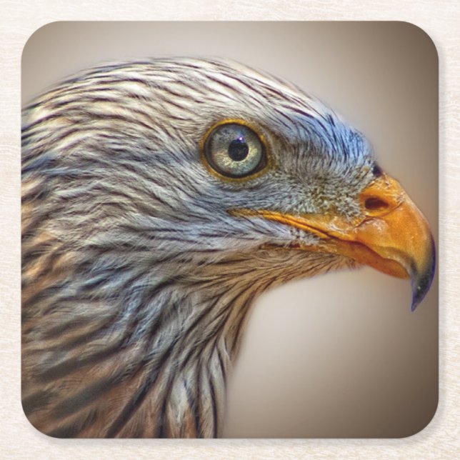 Red Kite Bird of Prey Milan Square Paper Coaster (Front)