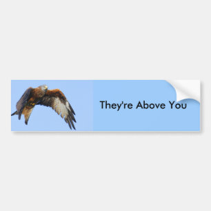 Red Kite Bumper Sticker