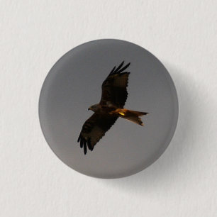 Red Kite Button