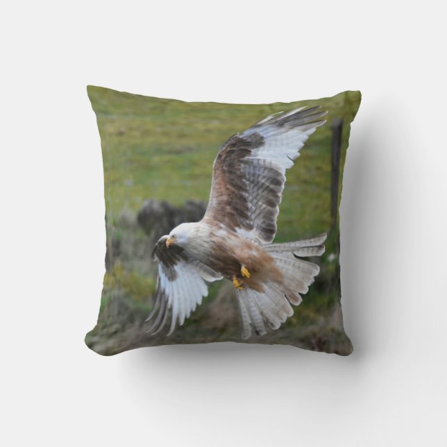 Red Kite Cushion (Front)