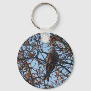 Red Kite in Oak Tree Key Ring