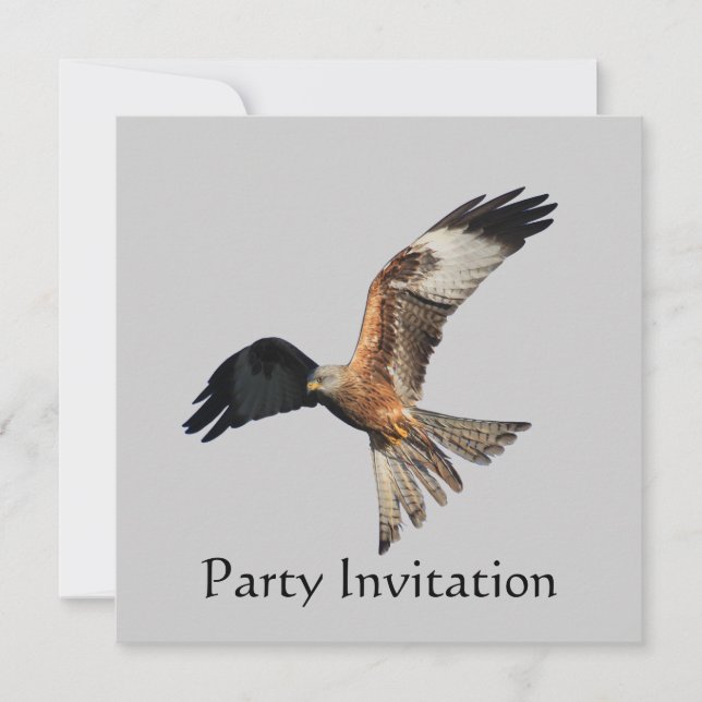 Red Kite Party Invitation (Front)