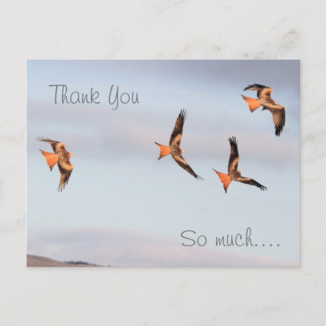 Red Kite Thank You Postcard (Front)