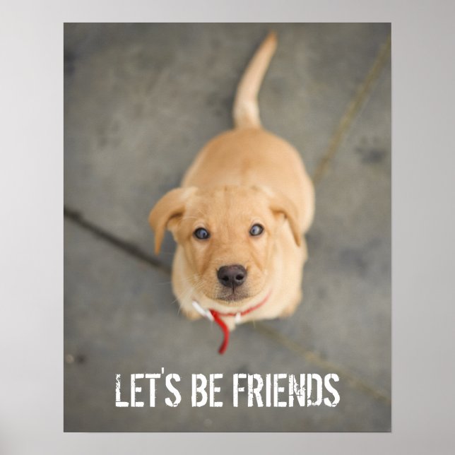 Red Labrador Puppy Poster (Front)