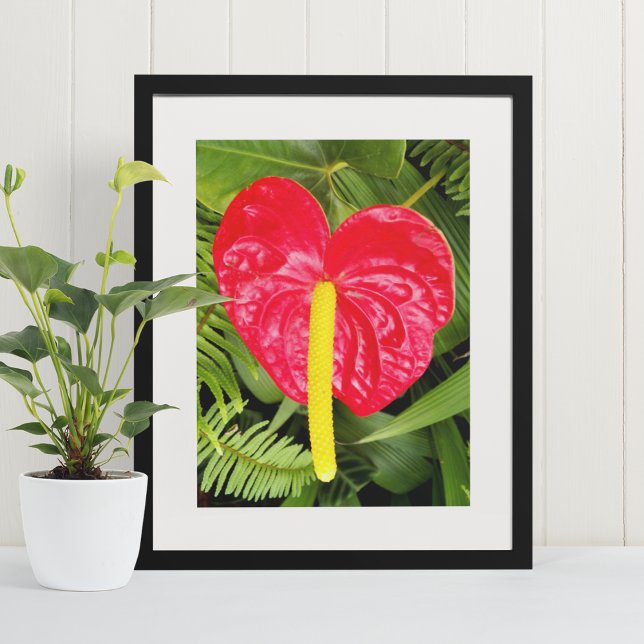 Red Laceleaf Bloom Floral Poster (In Situ Framed)