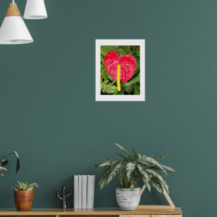 Red Laceleaf Flower Floral Photographic Poster