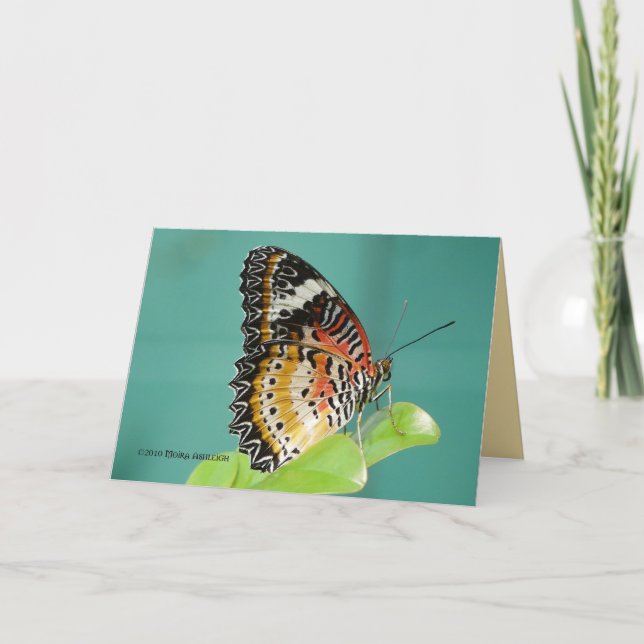 Red Lacewing Buterfly Card (Front)