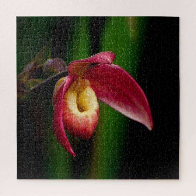 Red Lady Slippers Orchid Jigsaw Puzzle (Vertical)