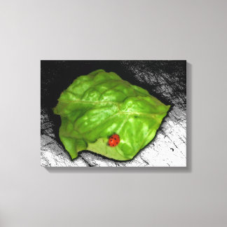 Red Ladybug on Green Leaf Illustration Canvas Print
