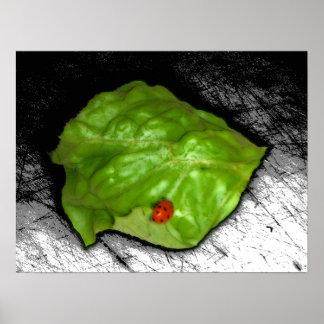 Red Ladybug on Green Leaf Illustration Poster