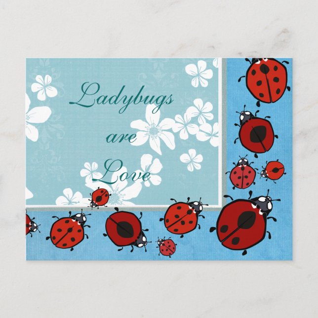 Red Ladybug Postcard (Front)