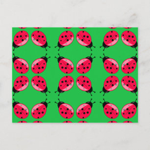 Red Ladybugs Postcard