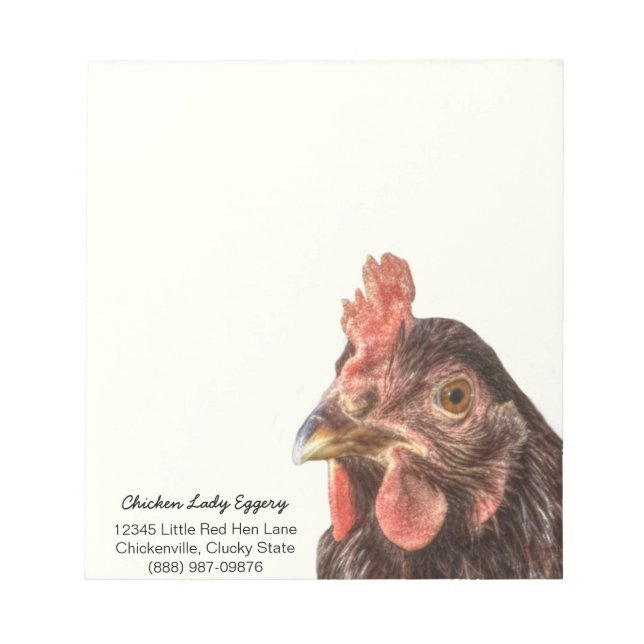 Red Laying Hen Chicken Photo Notepad (Front)