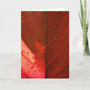 Red Leaf Holiday Card