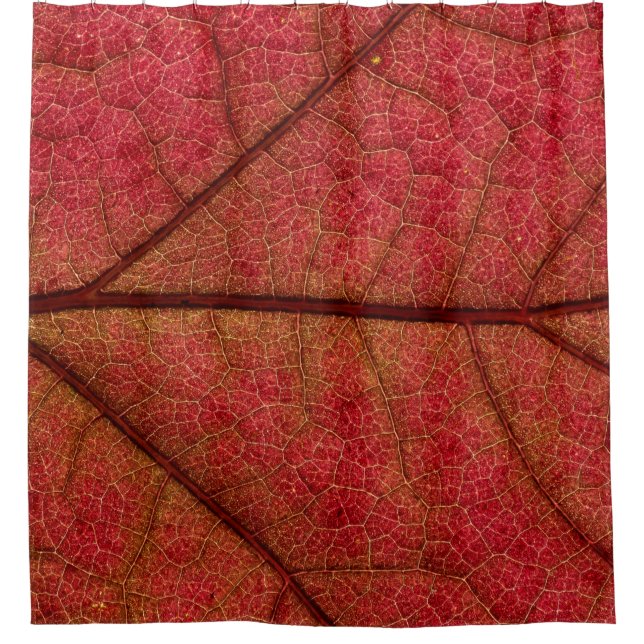 Red leaf in close up photography shower curtain (Front)