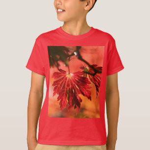 Red-Leaf Kids Basic T-Shirt For Boys
