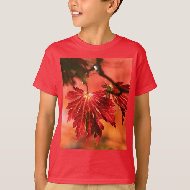 Red-Leaf Kids Basic T-Shirt For Boys (Front)