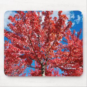Red Leaf Tree In Fall Mouse Mat