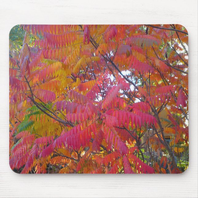 Red Leaf Tree Mousepad (Front)