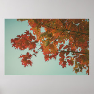 RED-LEAFED TREE POSTER