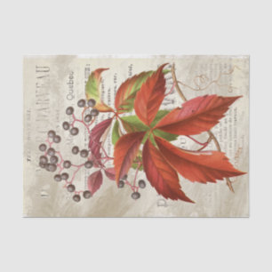 Red Leaves Berries Fall Foliage French Decoupage Tissue Paper