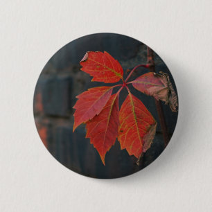 Red Leaves Button