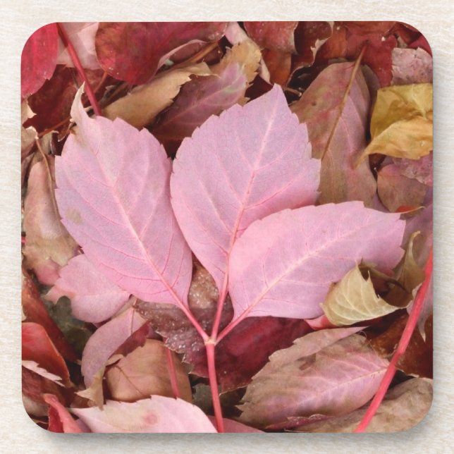 Red Leaves Coaster (Front)