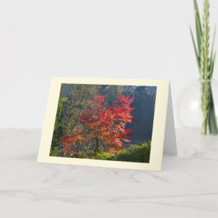 Red leaves holiday card