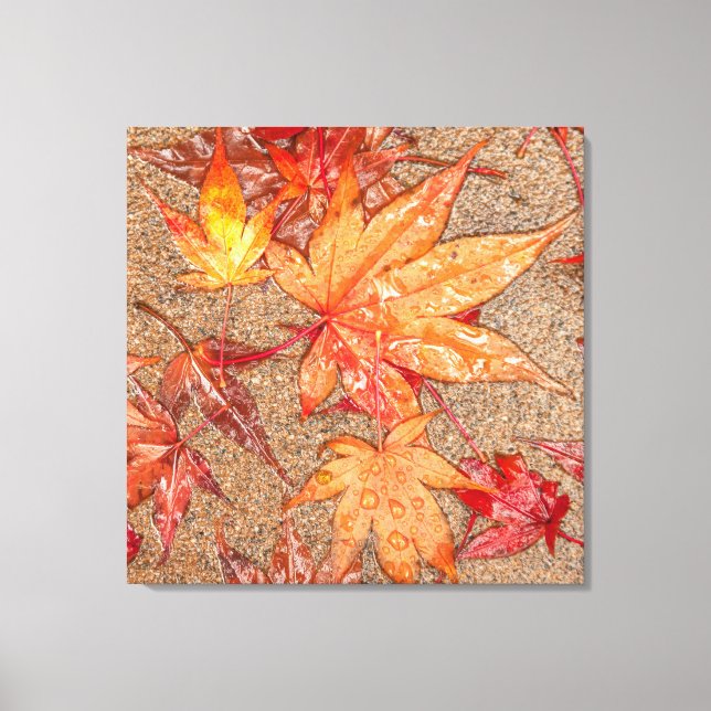 Red Leaves in the Rain Canvas Print (Front)