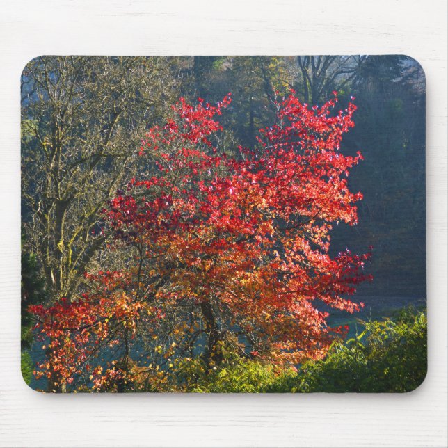 Red leaves mouse mat (Front)