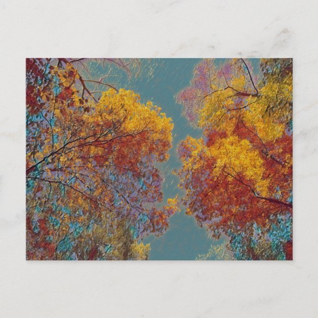 Red Leaves Postcard (Front)