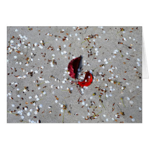 Red Leaves White Petals