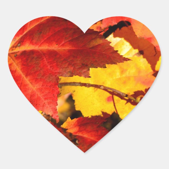 Red leaves yellow leaves golden autumn leaves  heart sticker (Front)