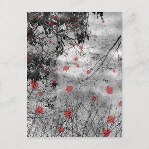 Red Letter Day Wedding Announcement