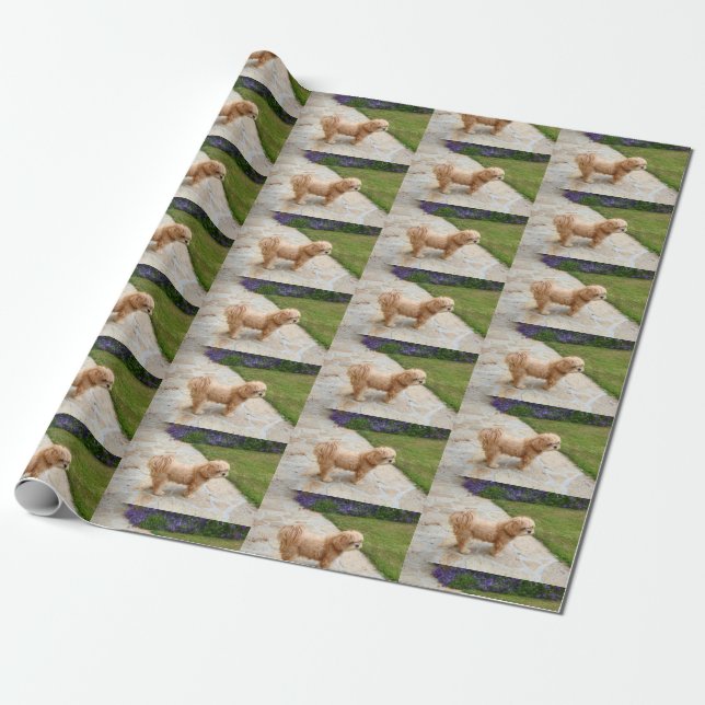 Red Lhasa Apso dog Wrapping Paper (Unrolled)