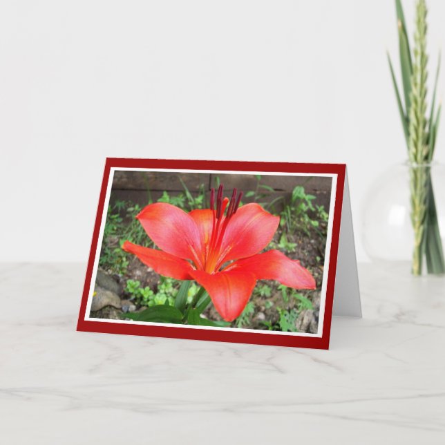Red Lilie 1 Card (Front)